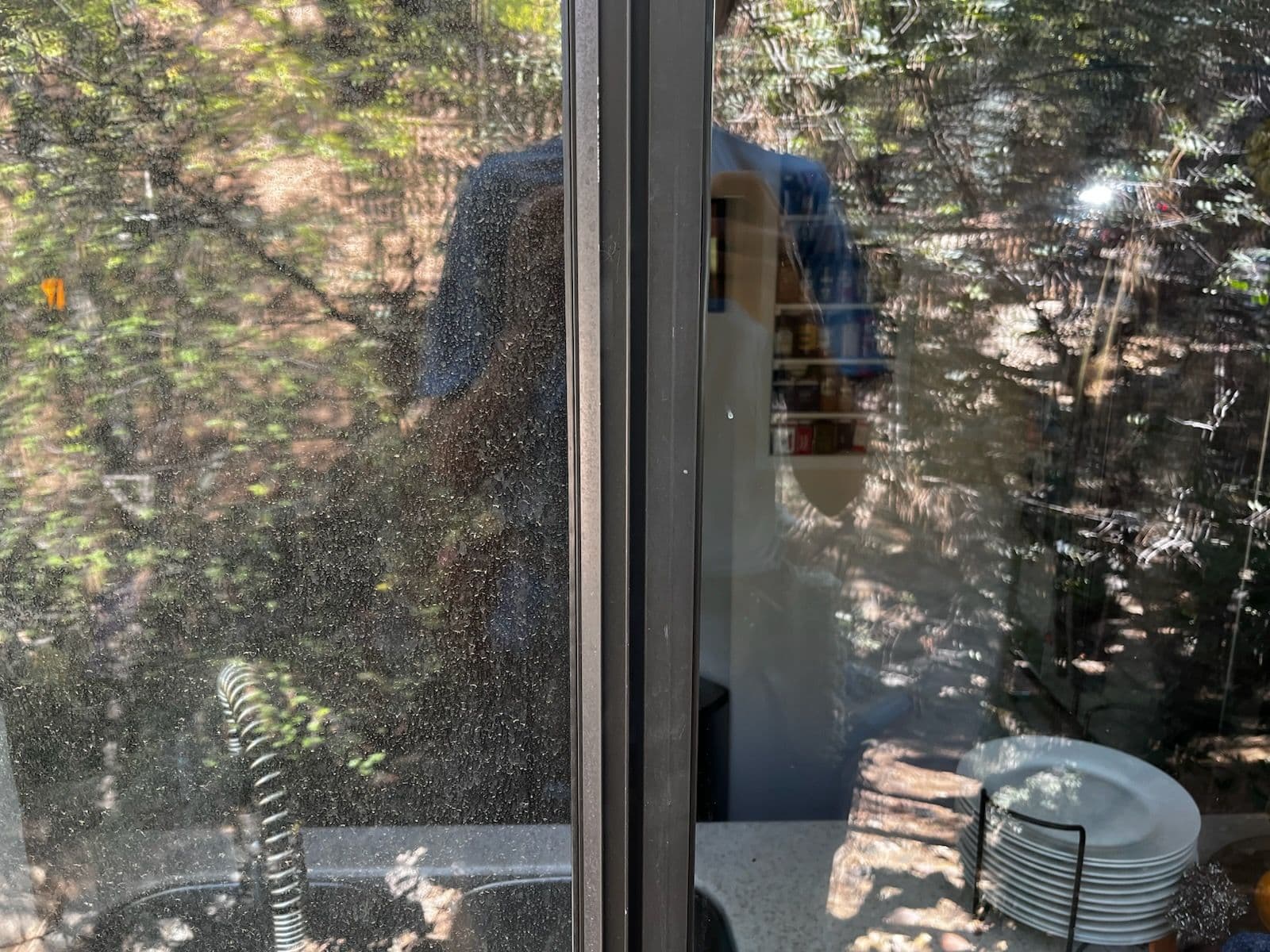 Pristine Windows in Prescott image
