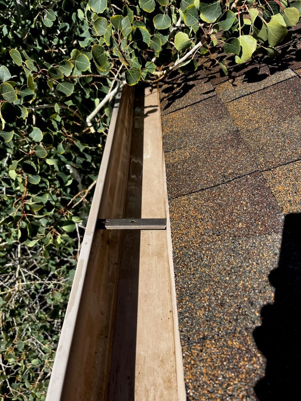 Project Gutter Cleaning in Prescott image