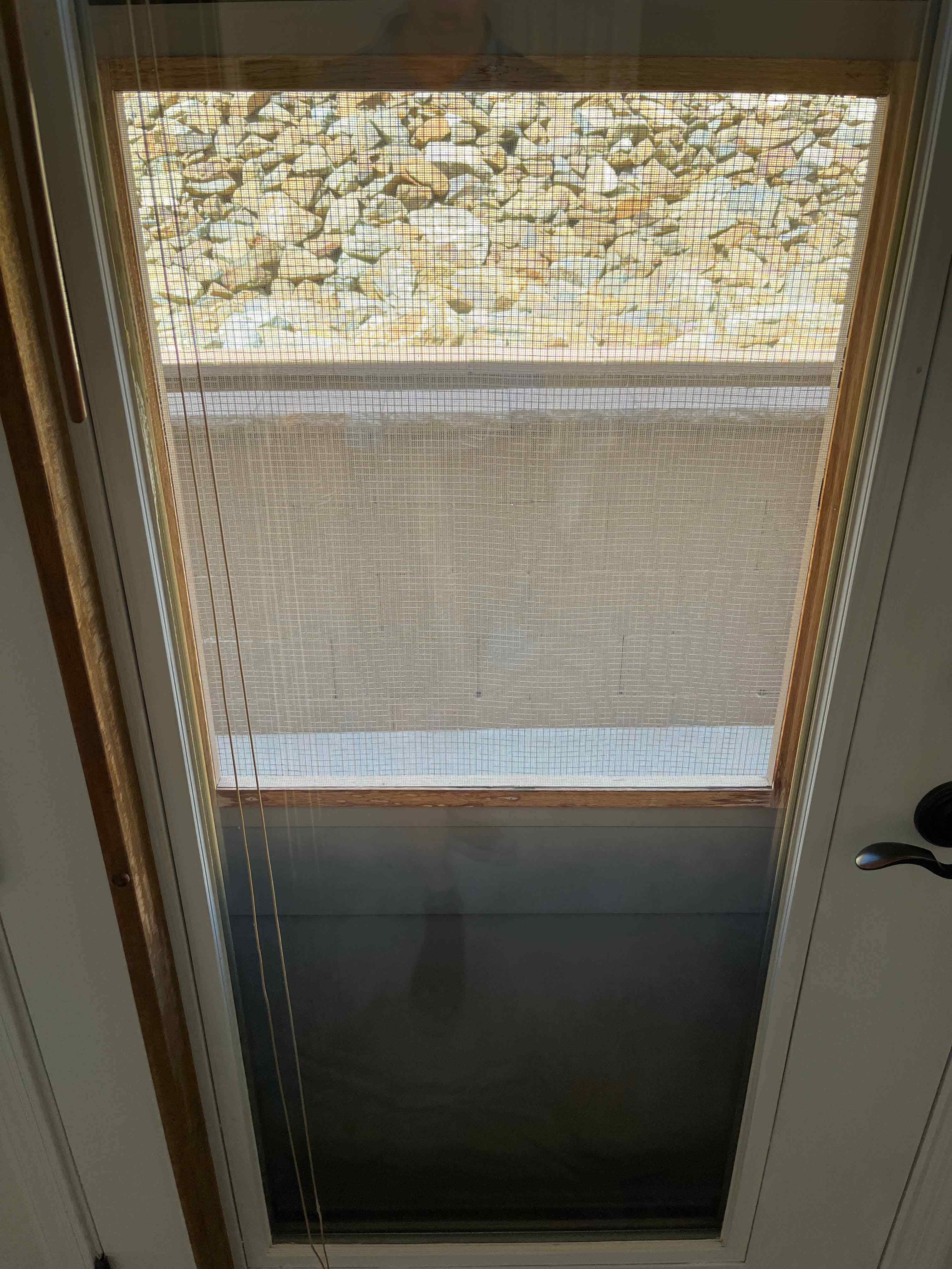 Project Door Cleaning Transformation image
